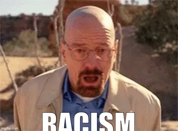 Walter White | RACISM | image tagged in walter white | made w/ Imgflip meme maker