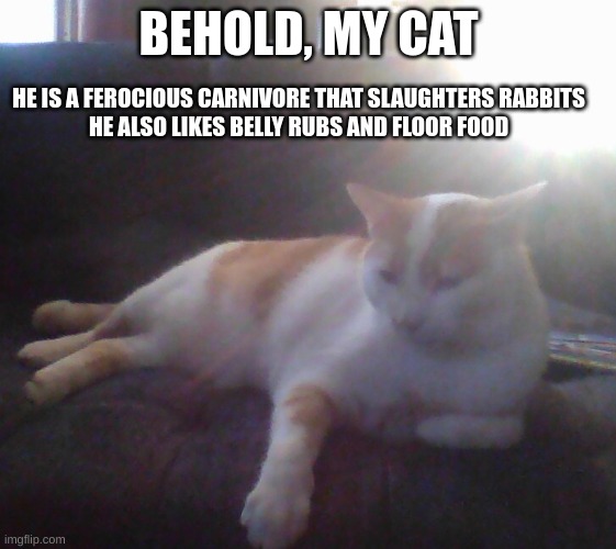BEHOLD, MY CAT; HE IS A FEROCIOUS CARNIVORE THAT SLAUGHTERS RABBITS
HE ALSO LIKES BELLY RUBS AND FLOOR FOOD | image tagged in behold,my,cat | made w/ Imgflip meme maker