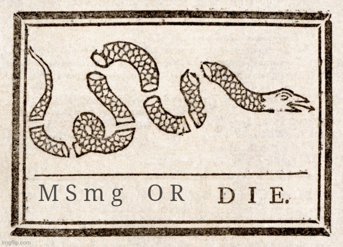 Join Or Die Blank | M S m g    O R | image tagged in join or die blank | made w/ Imgflip meme maker