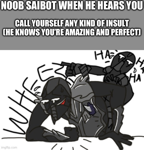 I’m laughing too LOL | NOOB SAIBOT WHEN HE HEARS YOU; CALL YOURSELF ANY KIND OF INSULT

(HE KNOWS YOU’RE AMAZING AND PERFECT) | image tagged in noob saibot wheeze,wholesome | made w/ Imgflip meme maker