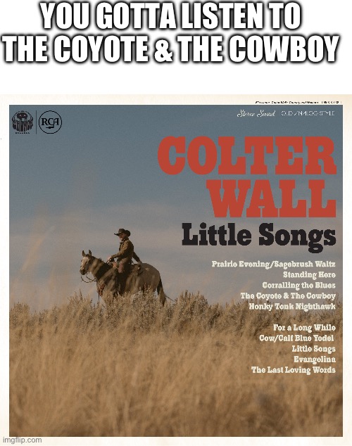 YOU GOTTA LISTEN TO THE COYOTE & THE COWBOY | image tagged in blank white template | made w/ Imgflip meme maker