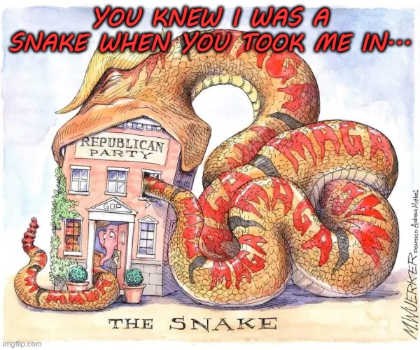 Trump The Snake | YOU KNEW I WAS A SNAKE WHEN YOU TOOK ME IN... | image tagged in trump the snake,trump2024,maga,trump | made w/ Imgflip meme maker