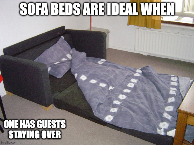 Sofa Bed | SOFA BEDS ARE IDEAL WHEN; ONE HAS GUESTS STAYING OVER | image tagged in bed,sofa,memes | made w/ Imgflip meme maker