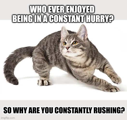 This #lolcat wonders why people think rushing will make them happy | WHO EVER ENJOYED 
BEING IN A CONSTANT HURRY? SO WHY ARE YOU CONSTANTLY RUSHING? | image tagged in happy,hurry,lolcat,think about it | made w/ Imgflip meme maker