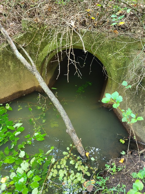 i think i found the backrooms | made w/ Imgflip meme maker