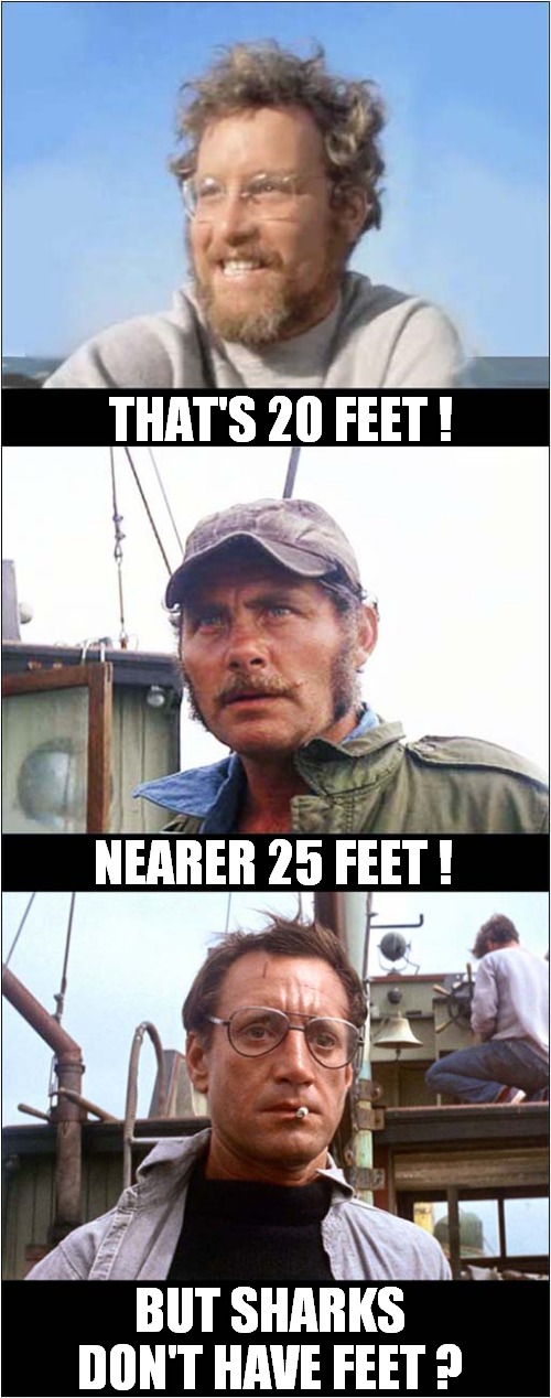 That's A Big Fish ! | THAT'S 20 FEET ! NEARER 25 FEET ! BUT SHARKS DON'T HAVE FEET ? | image tagged in fun,jaws,statistics | made w/ Imgflip meme maker