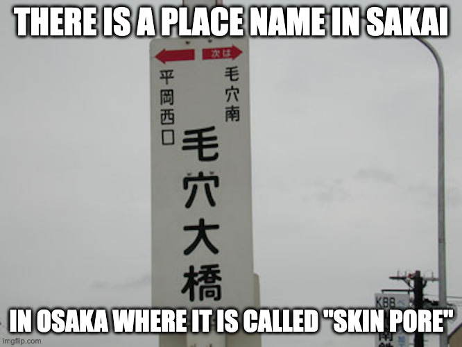 Keana, Sakai | THERE IS A PLACE NAME IN SAKAI; IN OSAKA WHERE IT IS CALLED "SKIN PORE" | image tagged in neighborhood,memes | made w/ Imgflip meme maker