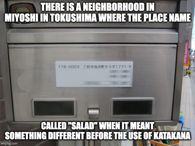 Ikeda-cho Sarada, Miyoshi | THERE IS A NEIGHBORHOOD IN MIYOSHI IN TOKUSHIMA WHERE THE PLACE NAME; CALLED "SALAD" WHEN IT MEANT SOMETHING DIFFERENT BEFORE THE USE OF KATAKANA | image tagged in neighborhood,memes | made w/ Imgflip meme maker