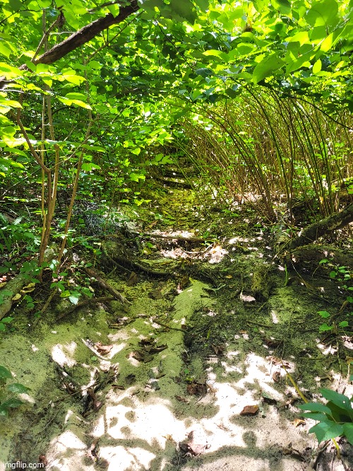 the sand here is softer than beach sand | made w/ Imgflip meme maker