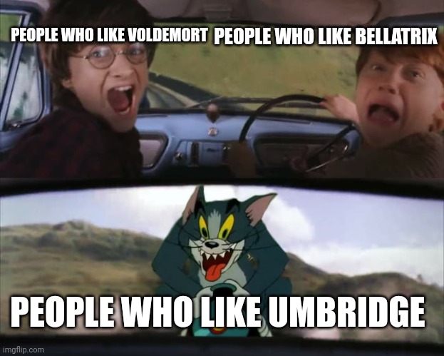 Harry Potter Train | PEOPLE WHO LIKE BELLATRIX; PEOPLE WHO LIKE VOLDEMORT; PEOPLE WHO LIKE UMBRIDGE | image tagged in harry potter | made w/ Imgflip meme maker