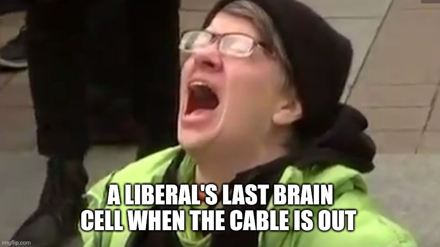 Screaming Liberal  | A LIBERAL'S LAST BRAIN CELL WHEN THE CABLE IS OUT | image tagged in screaming liberal | made w/ Imgflip meme maker