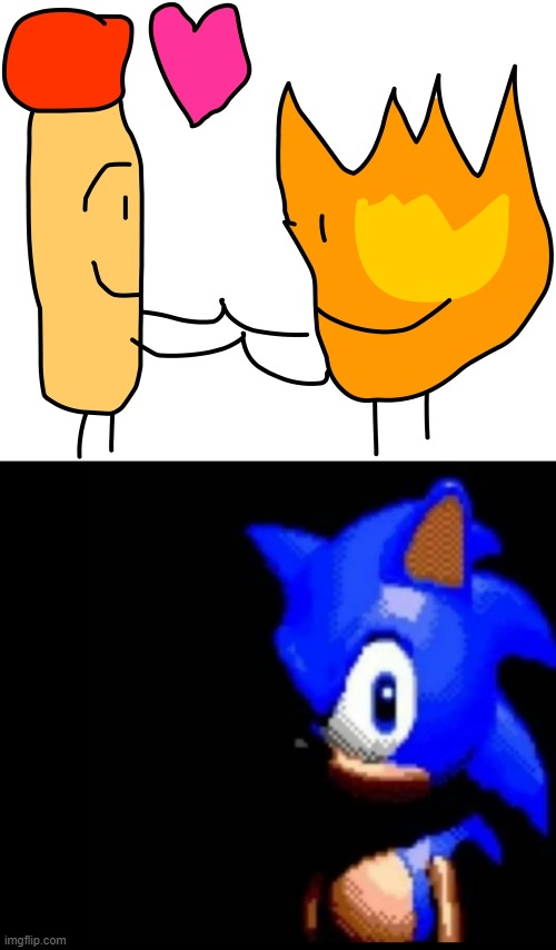 Story Collector lmao.mp3 | image tagged in sonic stares | made w/ Imgflip meme maker