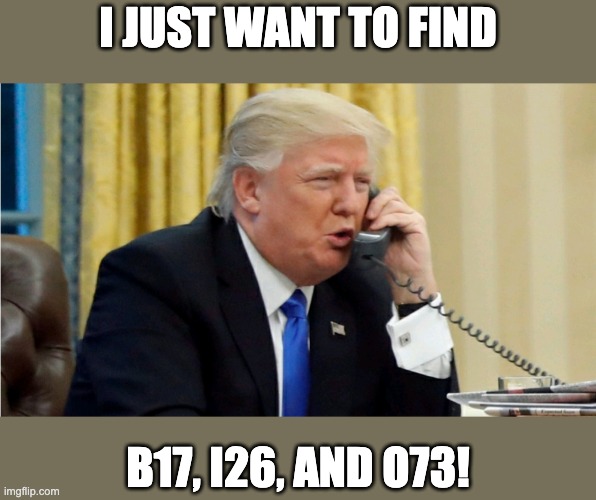 Trump on phone | I JUST WANT TO FIND B17, I26, AND O73! | image tagged in trump on phone | made w/ Imgflip meme maker