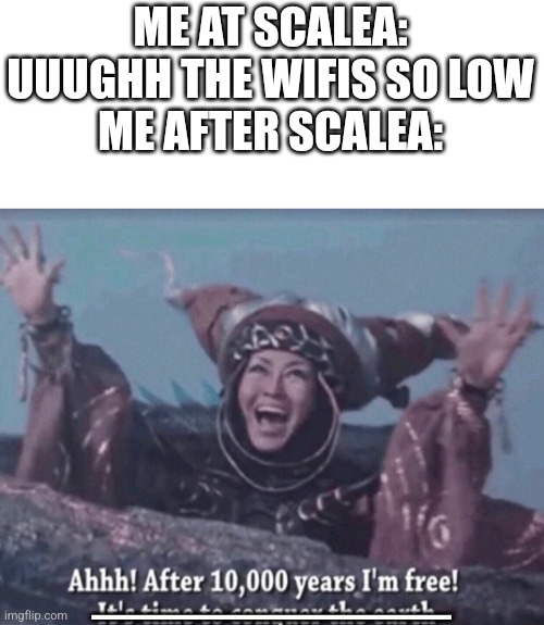 I'm baaaaack again | ME AT SCALEA: UUUGHH THE WIFIS SO LOW
ME AFTER SCALEA:; —————————— | image tagged in mmpr rita repulsa after 10 000 years i'm free,memes,i'm back | made w/ Imgflip meme maker
