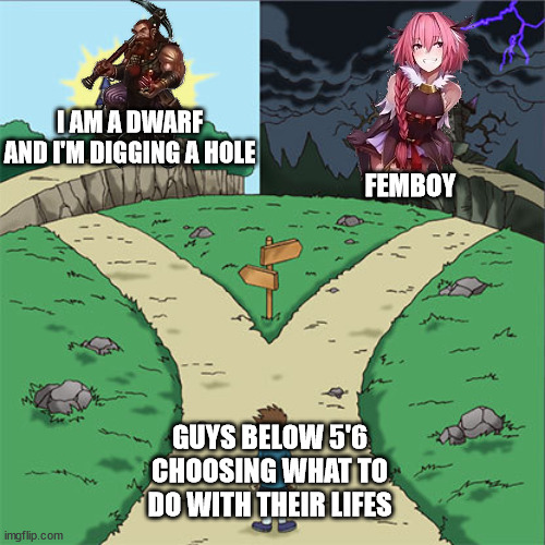 Two Paths | I AM A DWARF AND I'M DIGGING A HOLE; FEMBOY; GUYS BELOW 5'6 CHOOSING WHAT TO DO WITH THEIR LIFES | image tagged in two paths | made w/ Imgflip meme maker