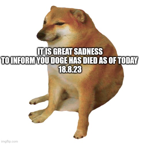 I only just got the news | IT IS GREAT SADNESS TO INFORM YOU DOGE HAS DIED AS OF TODAY 
18.8.23 | image tagged in cheems | made w/ Imgflip meme maker