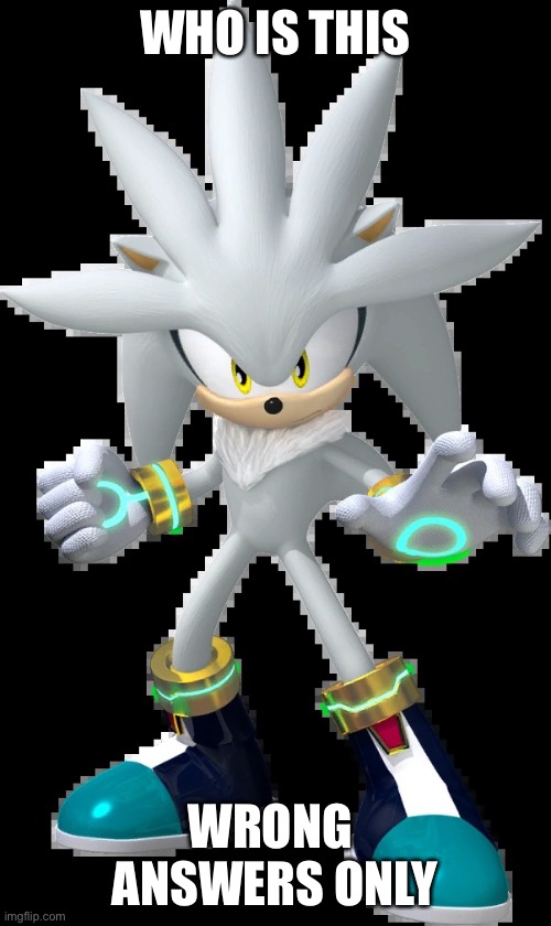 Silver the Hedgehog | WHO IS THIS; WRONG  ANSWERS ONLY | image tagged in silver the hedgehog | made w/ Imgflip meme maker