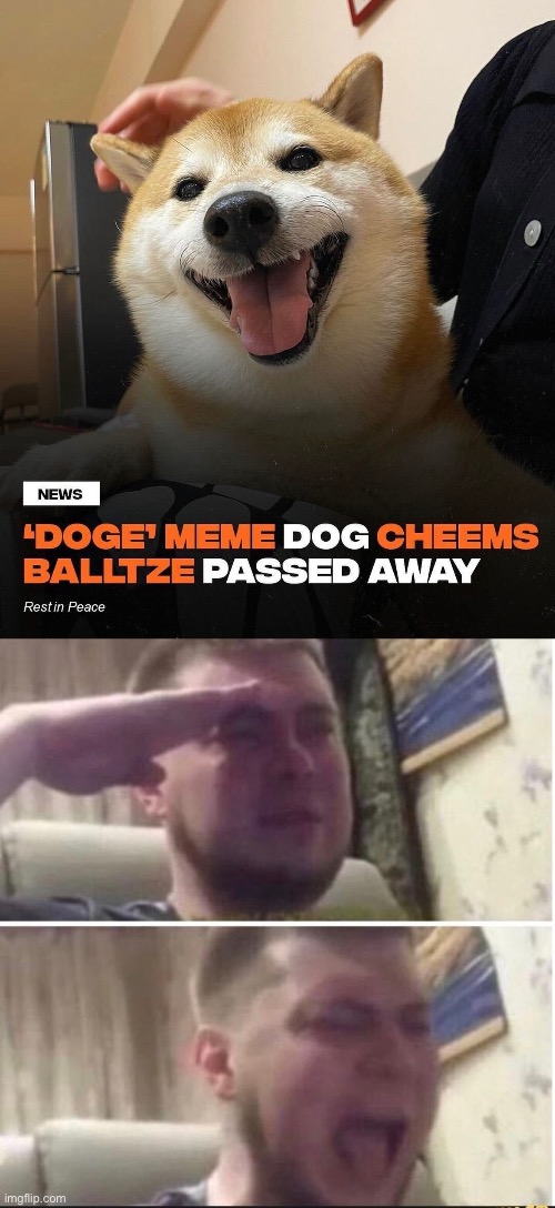 Rest in Peace Balltze | image tagged in crying salute,sad,doge,sad doge,cheems,shiba inu | made w/ Imgflip meme maker