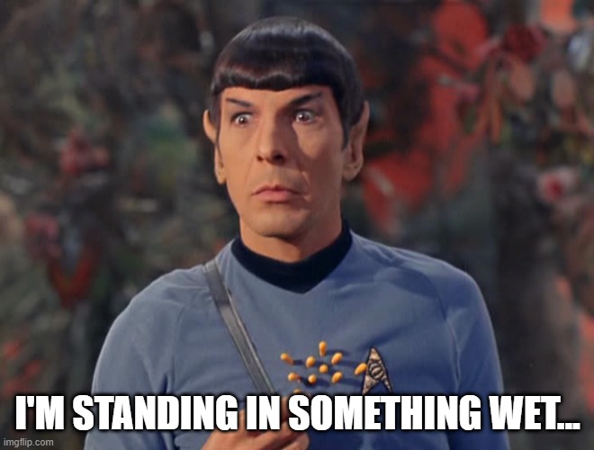 Wet | I'M STANDING IN SOMETHING WET... | image tagged in star trek mr spock sharted | made w/ Imgflip meme maker