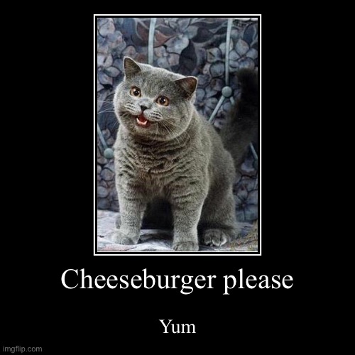 Cheeseburger please | Yum | image tagged in funny,demotivationals | made w/ Imgflip demotivational maker