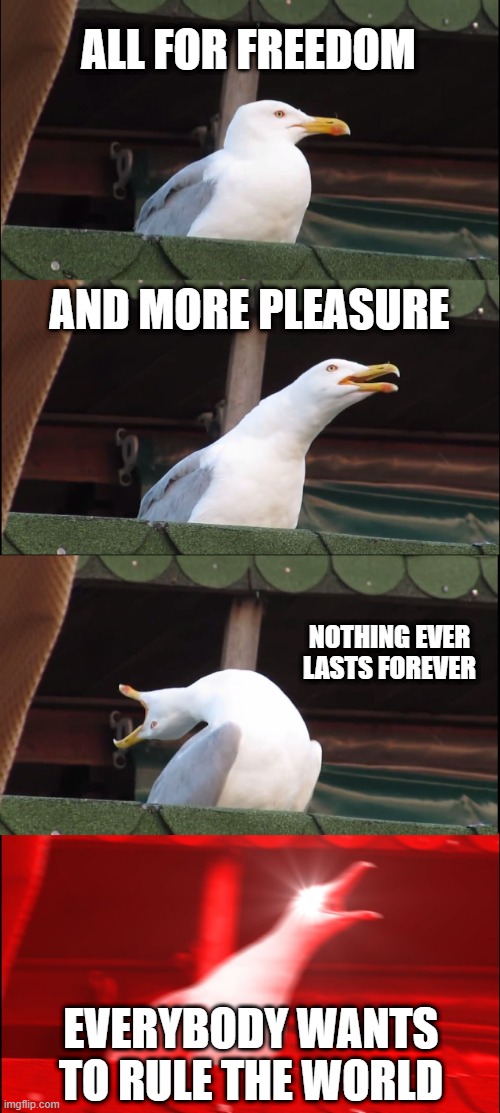 Tears for Fears Sang... | ALL FOR FREEDOM; AND MORE PLEASURE; NOTHING EVER LASTS FOREVER; EVERYBODY WANTS TO RULE THE WORLD | image tagged in memes,inhaling seagull | made w/ Imgflip meme maker