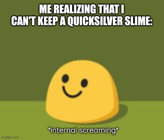 It would be nice if they added a late dlc where we could keep them. | ME REALIZING THAT I CAN'T KEEP A QUICKSILVER SLIME:; *internal screaming* | image tagged in internally screams | made w/ Imgflip meme maker