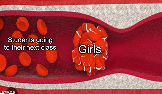 It's true | Students going to their next class; Girls | image tagged in school | made w/ Imgflip meme maker