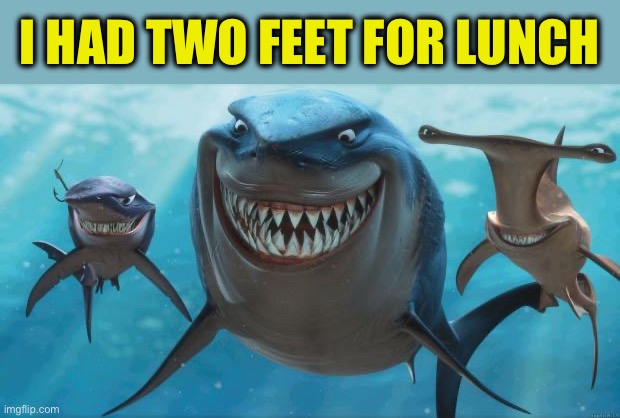 Finding Nemo Sharks | I HAD TWO FEET FOR LUNCH | image tagged in finding nemo sharks | made w/ Imgflip meme maker