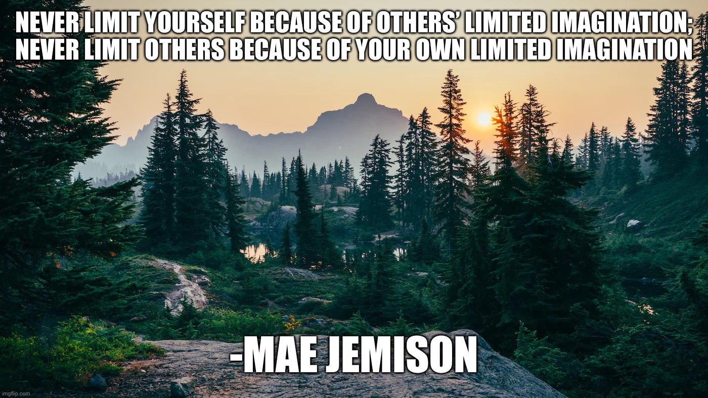 NEVER LIMIT YOURSELF BECAUSE OF OTHERS’ LIMITED IMAGINATION; NEVER LIMIT OTHERS BECAUSE OF YOUR OWN LIMITED IMAGINATION; -MAE JEMISON | image tagged in memes,motivational | made w/ Imgflip meme maker
