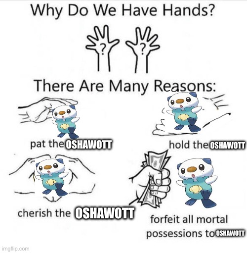 It’s so CUTE :D | OSHAWOTT; OSHAWOTT; OSHAWOTT; OSHAWOTT | image tagged in why do we have hands,pokemon,cute,memes,funny,relatable | made w/ Imgflip meme maker