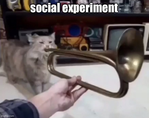 ? | social experiment | made w/ Imgflip meme maker