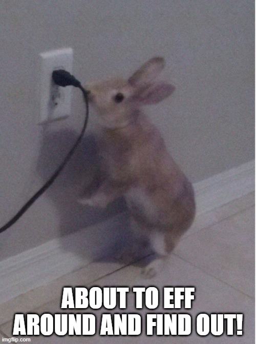 Shocking | ABOUT TO EFF AROUND AND FIND OUT! | image tagged in bunny | made w/ Imgflip meme maker