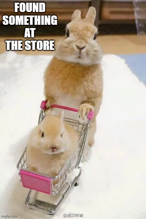 Bunny Shopping | FOUND SOMETHING AT THE STORE | image tagged in bunny | made w/ Imgflip meme maker