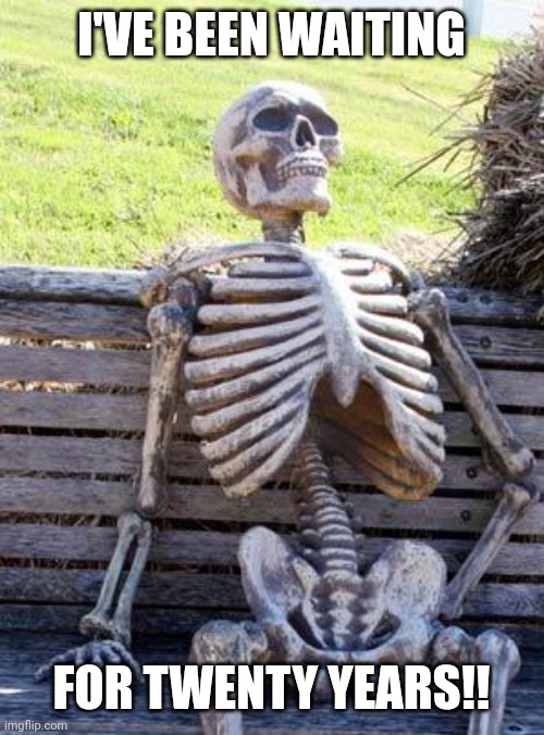When your waiting for someone to be done on the phone: | I'VE BEEN WAITING; FOR TWENTY YEARS!! | image tagged in memes,waiting skeleton,phone call | made w/ Imgflip meme maker