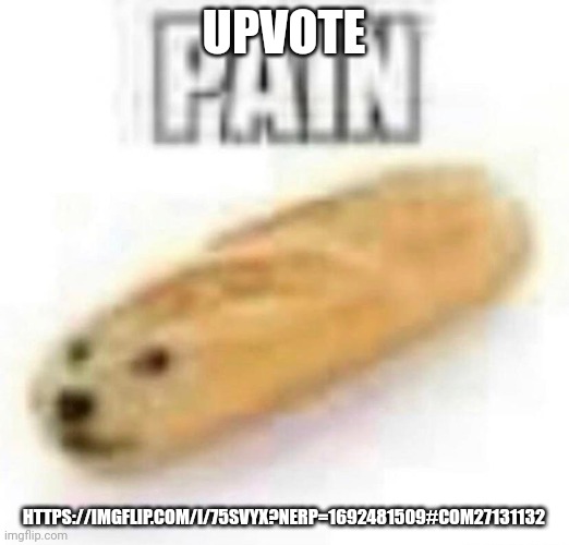 PAIN | UPVOTE; HTTPS://IMGFLIP.COM/I/75SVYX?NERP=1692481509#COM27131132 | image tagged in pain | made w/ Imgflip meme maker