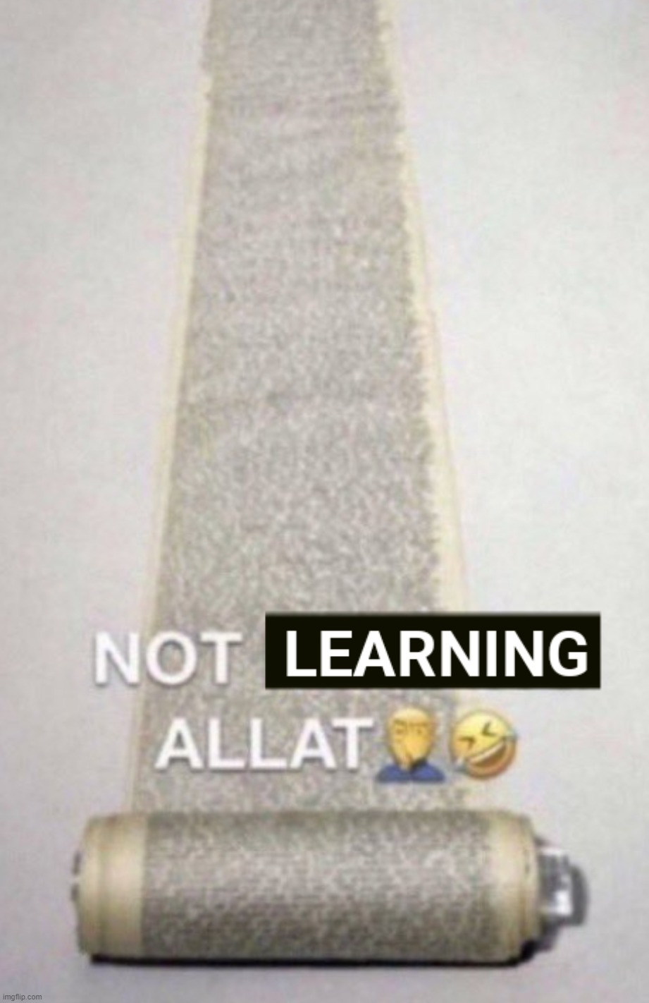 NOT LEARNING ALLAT | image tagged in not learning allat | made w/ Imgflip meme maker