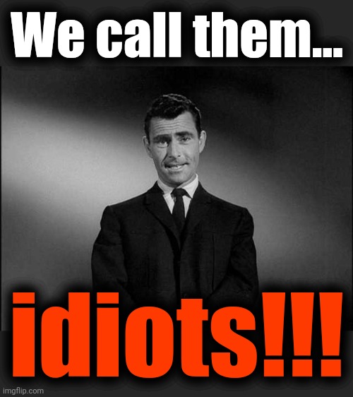 rod serling twilight zone | We call them... idiots!!! | image tagged in rod serling twilight zone | made w/ Imgflip meme maker