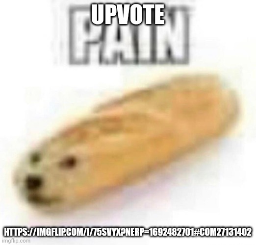 PAIN | UPVOTE; HTTPS://IMGFLIP.COM/I/75SVYX?NERP=1692482701#COM27131402 | image tagged in pain | made w/ Imgflip meme maker