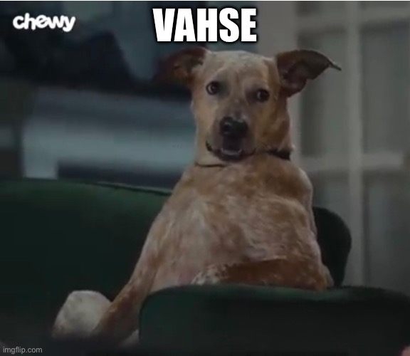 VAHSE | made w/ Imgflip meme maker