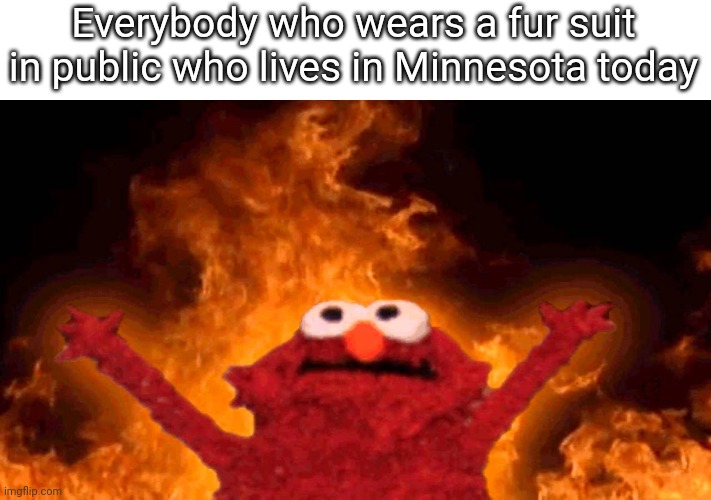 I almost got heatstroke without one today. | Everybody who wears a fur suit in public who lives in Minnesota today | image tagged in elmo fire | made w/ Imgflip meme maker
