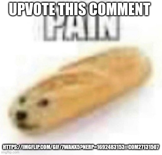 PAIN | UPVOTE THIS COMMENT; HTTPS://IMGFLIP.COM/GIF/7WANX5?NERP=1692483153#COM27131507 | image tagged in pain | made w/ Imgflip meme maker