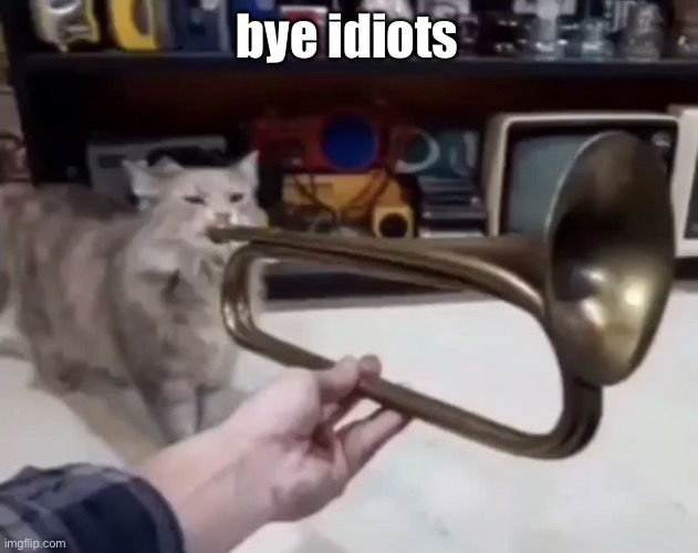 ? | bye idiots | made w/ Imgflip meme maker