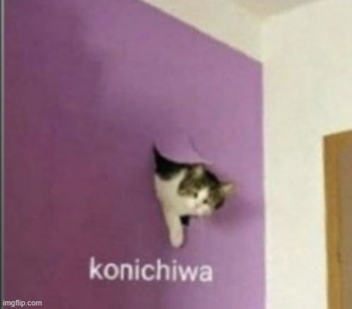 Cat out of wall Blank Meme Template