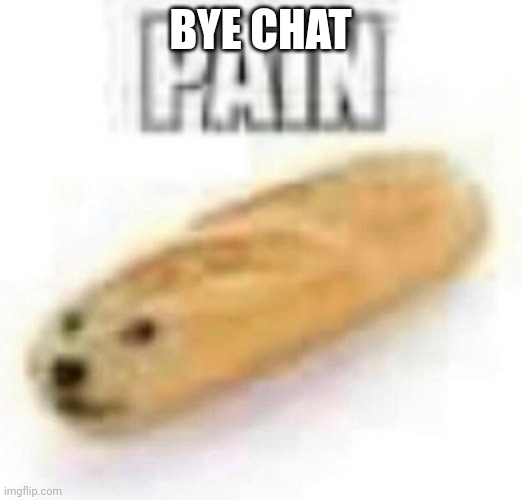 PAIN | BYE CHAT | image tagged in pain | made w/ Imgflip meme maker