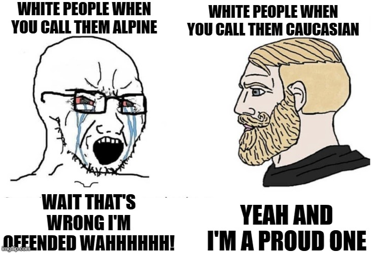 Where's the logic man! | WHITE PEOPLE WHEN YOU CALL THEM ALPINE; WHITE PEOPLE WHEN YOU CALL THEM CAUCASIAN; YEAH AND I'M A PROUD ONE; WAIT THAT'S WRONG I'M OFFENDED WAHHHHHH! | image tagged in funny,memes,political meme,depression,triggered | made w/ Imgflip meme maker
