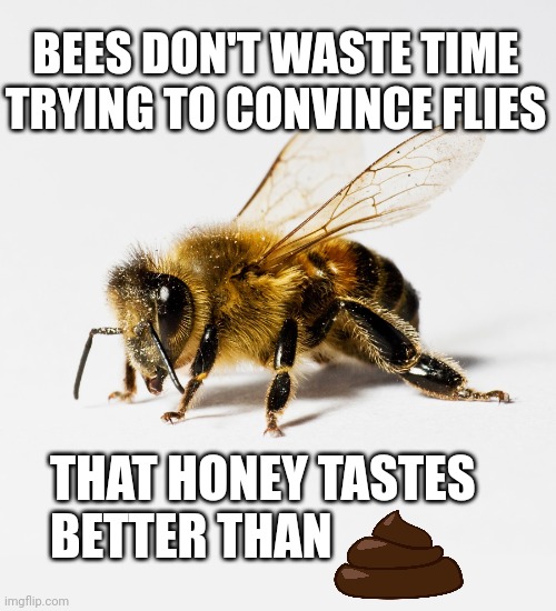 Honey bee | BEES DON'T WASTE TIME TRYING TO CONVINCE FLIES; THAT HONEY TASTES 
BETTER THAN | image tagged in honey bee | made w/ Imgflip meme maker
