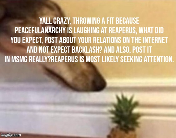 Don't go whine on the internet | Yall crazy, throwing a fit because Peacefulanarchy is laughing at Reaperus, what did you expect, post about your relations on the internet and not expect backlash? And also, post it in msmg really?Reaperus is most likely seeking attention. | image tagged in dog staring at a pineapple | made w/ Imgflip meme maker