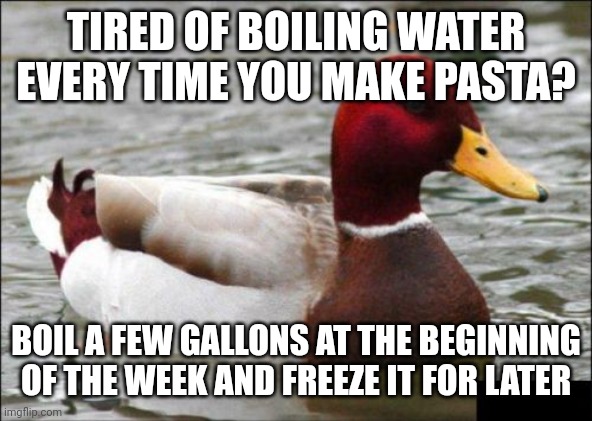 Malicious Advice Mallard Meme | TIRED OF BOILING WATER EVERY TIME YOU MAKE PASTA? BOIL A FEW GALLONS AT THE BEGINNING OF THE WEEK AND FREEZE IT FOR LATER | image tagged in memes,malicious advice mallard | made w/ Imgflip meme maker