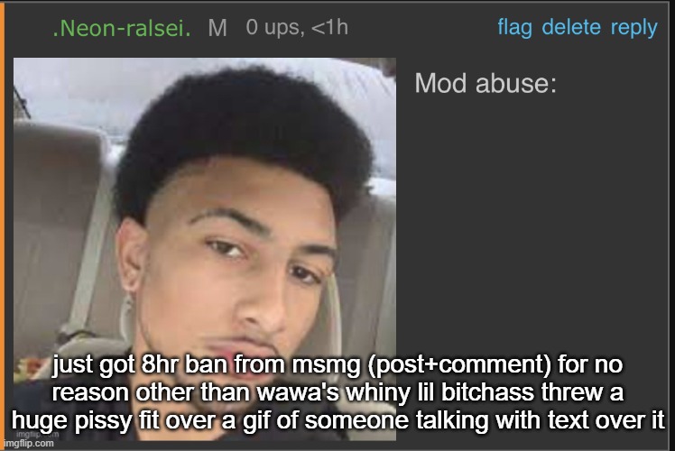 Mod abuse: | just got 8hr ban from msmg (post+comment) for no reason other than wawa's whiny lil bitchass threw a huge pissy fit over a gif of someone talking with text over it | image tagged in mod abuse | made w/ Imgflip meme maker