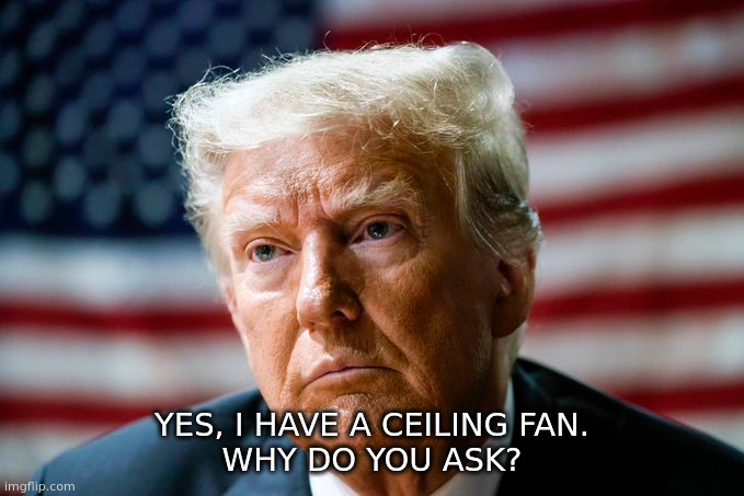 YES, I HAVE A CEILING FAN.
WHY DO YOU ASK? | made w/ Imgflip meme maker